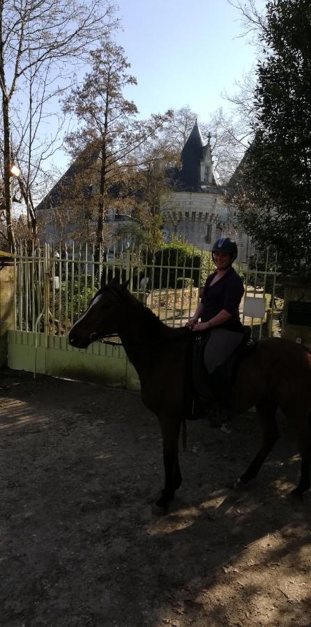 Chambre D'Hote En Vallee Du Loir - Elevage Des Rosiers Bazouges-sur-le-Loir Dış mekan fotoğraf